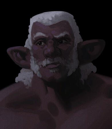 Character Portrait/Design for anonymous client.